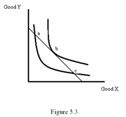 <strong> Refer to Figure 5.3.Which of the following statements is false?</strong> A) Points a, b and c all represent best choices for the consumer B) Point a violates the No Overlap Rule C) Point b satisfies the tangency requirement D) Point c violates the No Overlap Rule
