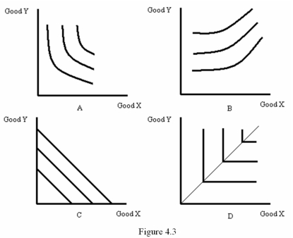 <strong> Refer to Figure 4.4.Which diagram most likely represents the indifference map for Sony PlayStation and Nintendo GameCube?</strong> A) A B) B C) C D) D