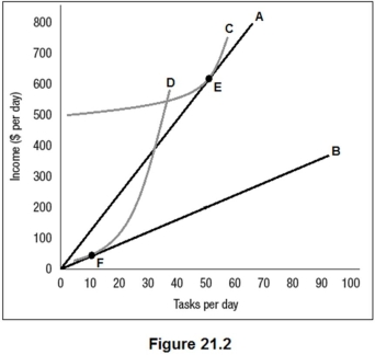 <strong>Figure 21.2 shows the benefit functions for low-ability workers and high-ability workers (A and B),along with one indifference curve for each worker type (C and D).The employer cannot observe worker type directly but has created two positions,E and F,as a screening mechanism.Which of the following is true?  </strong> A)High- and low-ability workers will choose position E. B)High-ability workers will choose position E and low ability workers will choose position F. C)High- and low-ability workers will choose position F. D)High-ability workers will choose position F and low ability workers will choose position E. <div style=padding-top: 35px> 