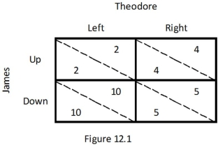 <strong>Refer to the game between James and Theodore depicted in Figure 12.1.Which of the following is true? </strong> A) If James chooses Up, Theodore's best response is to choose Left. B) If James chooses Down, Theodore's best response is to choose Right. C) If Theodore chooses Left, James's best response is to choose Up. D) If Theodore chooses Right, James's best response is to choose Down.