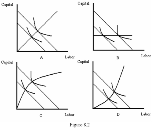 <strong>Refer to Figure 8.2.Which graph illustrates an output expansion path with a constant capital-labor ratio?  </strong> A) A B) B C) C D) D <div style=padding-top: 35px> 