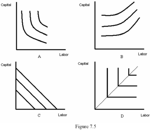 <strong>Refer to Figure 7.5.Which diagram represents isoquants for inputs that are perfect substitutes? </strong> A) A B) B C) C D) D