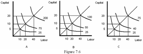<strong>Refer to Figure 7.6.Graph A represents: </strong> A) increasing returns to scale. B) decreasing returns to scale. C) constant returns to scale. D) diminishing marginal returns.