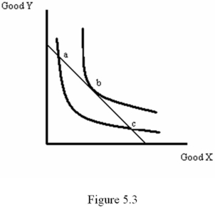<strong>Refer to Figure 5.3.Which of the following statements is false? </strong> A) Points a, b and c all represent best choices for the consumer. B) It is possible for the consumer to afford better bundles than a. C) Point b satisfies the tangency condition. D) It is possible for the consumer to afford better bundles than c.