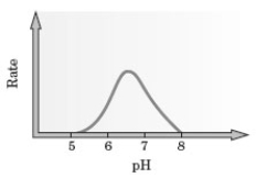 <strong>Consider the following graph for the rate of an enzyme catalyzed reaction. What would be the optimum pH for carrying out this reaction?</strong> A) 5.0 B) 6.5 C) 7.5 D) 8.0 E) Any pH between 5.0 and 8.0.