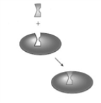 <strong>Consider the following two images depicting enzyme behavior. A B Which model explains competitive inhibition?</strong> A) A only B) B only C) Both A and B explain competitive inhibition.