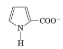 <strong>The following represents a transition-state in a certain reaction. Which of the following would be the best transition-state analog?</strong> A) B) C) D)