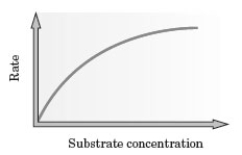 <strong>Examine the following graph. Which of the following explains why the line on the graph does not continue in a linear fashion?</strong> A) All of the added substrate is bound to the enzyme. B) All of the enzyme active sites are occupied. C) The amount of enzyme present is greater than needed by the substrate. D) An inhibitor is present.