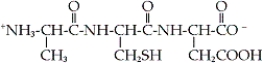 <strong>How is the tripeptide shown designated? </strong> A) Ala-Cys-Asp B) Ala-Cys-Glu C) Asp-Cys-Ala D) Glu-Cys-Ala