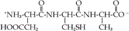 <strong>How is the tripeptide designated? </strong> A) Ala-Cys-Asp B) Ala-Cys-Glu C) Asp-Cys-Ala D) Glu-Cys-Ala