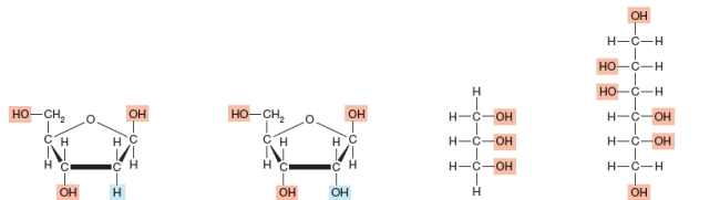 <strong>Which of the following is a three carbon sugar alcohol? </strong> A)a B)b C)c D)d