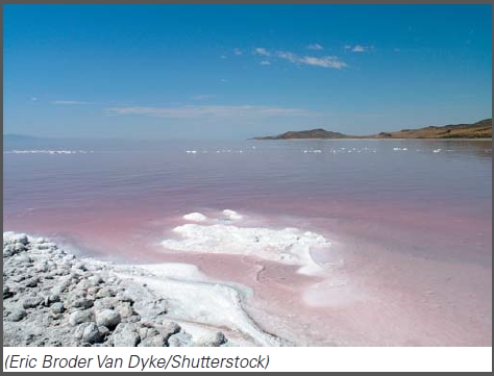<strong>Microbes that live in this environment actively transport _____ out of their cells.  </strong> A)potassium B)oxygen C)sodium D)nitrogen <div style=padding-top: 35px> 