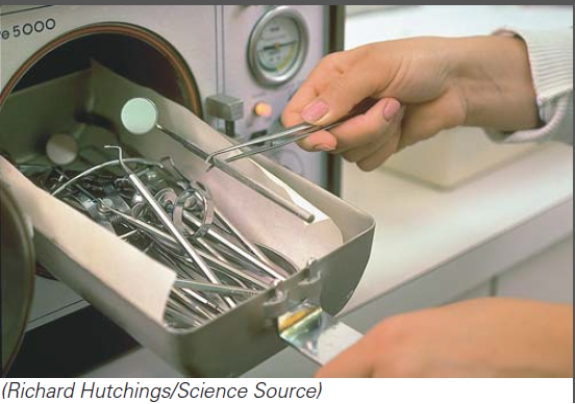 <strong>How could the performance of this equipment be checked?  </strong> A)Using a culture of endospores from Bacillus stearothermophilus B)Using a culture of endospores from Escherichia coli C)Using a culture of endospores from Staphylococcus aureus D)It does not need to be checked <div style=padding-top: 35px> 