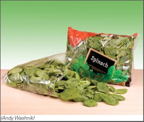 <strong>What chemical group is used to treat spinach before it is packaged for the consumer?  </strong> A)Heavy metals B)Halogens C)Alcohols D)Phenols <div style=padding-top: 35px> 