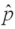 If p = .8 and n = 50,then we can conclude that the sampling distribution of is approximately a normal distribution.