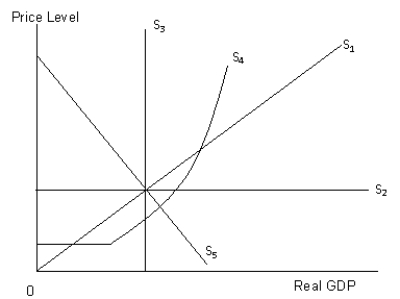 <strong>The figure given below shows the supply curves with different slopes.?Figure 15.1   Refer to Figure 15.1. Which of the following supply curves represent the supply curve in the simple Keynesian model?</strong> A) S₁ B) S₂ C) S₃ D) S₄ E) S₅ <div style=padding-top: 35px> 