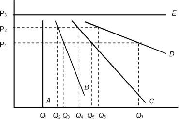 <strong>Figure 4.2 Refer to Figure 4.2. Observing the changes in quantity demanded as a result of a decrease in price from P<sub>2</sub> to P<sub>1</sub> shows that</strong> A) D is relatively more inelastic than C. B) A has the largest change in quantity demanded. C) B is relatively more elastic than D. D) C has the largest change in quantity demanded. E) C is relatively more elastic than B.