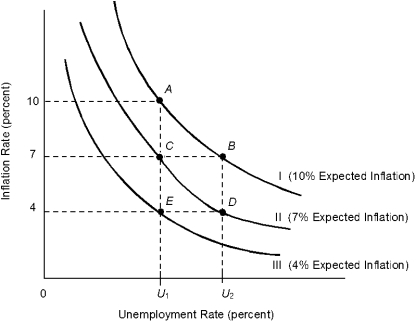 <strong>Figure 16.3 Refer to Figure 16.3. According to the theory of adaptive expectations, a decrease in the money supply that has been expected would cause the economy to move along path like</strong> A) BC. B) AC. C) BD. D) ABC. E) ABD.