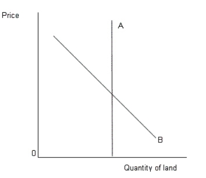 <strong>The figure given below represents an imperfectly competitive resource market.Here common land (and not land used for specific purpose) is under consideration. Figure 17.1 In Figure 17.1,the curve A indicates:</strong> A)demand curve for land. B)supply curve of land. C)marginal factor cost of land. D)marginal revenue product curve for land. E)value of marginal product curve of land.