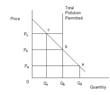 <strong>The figure given below shows the demand for permits and the maximum permissible level of pollution. Figure 13.4 In the figure, The downward sloping line is the demand curve of permits; The vertical line denotes the maximum permissible limit of pollution. In Figure 13.4,if the government sells Q<sub>b </sub>permits to pollute at a price of P<sub>b </sub>each,then:</strong> A)the allocation of pollution reduction is inefficient. B)firms in the market will be forced to shut down due to excessive government regulation. C)the allocation of pollution reduction is efficient,because only those firms with a marginal cost of pollution reduction greater than P<sub>b </sub>will buy the permits. D)the allocation of pollution reduction is efficient,because only those firms with a marginal cost of pollution reduction less than P<sub>b </sub>will buy the permits. E)the allocation of pollution reduction is inefficient,because only those firms with the lowest costs of pollution reduction will purchase the permits.