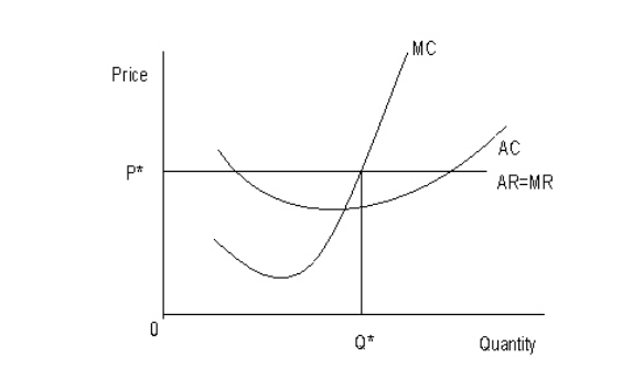 <strong>The following figure shows the cost and revenue structures of a firm.MC represents the marginal cost curve,AC represents the average cost curve,AR represents the average revenue curve,and MR represents the marginal revenue curve.P* is the equilibrium price and Q* is the equilibrium output. Figure 8.5 Refer to Figure 8.5.Identify the market structure in which the firm operates:</strong> A)Perfect competition B)Monopolistic competition C)Monopoly D)Oligopoly E)Duopoly