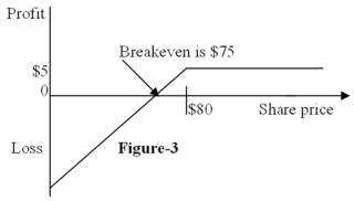 Figure 3 depicts the:  