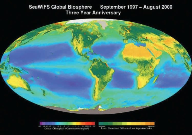 <strong>  Examine the map above (Figure 46.9),which shows indices of aquatic and terrestrial primary productivity based on concentrations of chlorophyll a. Based on this index,primary productivity of aquatic systems:</strong> A)is equal at all latitudes. B)generally increases from the poles to the equator. C)is greatest in the open ocean. D)is usually high in warm,tropical seas. E)tends to be high near polar regions. <div style=padding-top: 35px> 