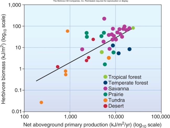   Based on data from the figure above,savannahs tend to have a higher herbivore biomass than deserts.<div style=padding-top: 35px> 