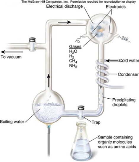 <strong>The Miller and Urey apparatus produced hydrogen cyanide (HCN),formaldehyde (CH<sub>2</sub>O),and glycine (an amino acid)in their first experiment.Why was it important that they use water vapor,methane,carbon monoxide,ammonia and hydrogen as their reactants and an electrical spark as their energy source? </strong> A)They knew these reactants were available in their lab and in today's atmosphere. B)These reactants were found in today's atmosphere therefore they should be used to try to replicate the early Earth atmosphere. C)Each of the reactants were readily changed into proteins and DNA. D)These reactants were useful because their products were able to be predicted before the experiment began,it is always good to know the outcome of an experiment to achieve success with the experiment. E)These reactants were hypothesized to have made up the early Earth atmosphere,the electricity was used to emulate lightening strikes.