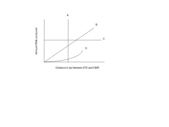 <strong>It is possible that the effects of the association of the ICR and DMR regions with the CTC factors could be distance dependent. An experimental outline could be devised where the effects of the distances of these regions could be varied and the rates of transcription could be measured. Below is a graph of some possible results. Which letter represents the most likely outcome if an increase in distance between these two regions results in a diminished effect on transcription rates? </strong> A) A B) B C) C D) D