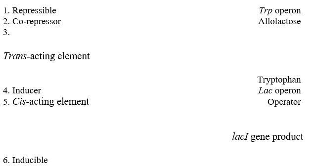 For these questions, match the following to its appropriate letter. Use each letter only once.