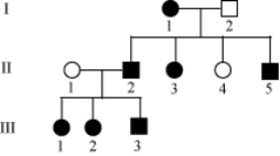 <strong>Filled in circles and square show affected individuals. Select the mode of inheritance for individual III-3 </strong> A) Incomplete dominance B) Codominance C) Pseudoautosomal inheritance D) X-linked inheritance