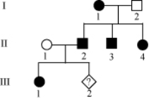 <strong>The pedigree below shows the inheritance pattern of a rare allele for one family. The filled in circles and square show affected individuals. What is the probability of individual III-2 being born male and affected? </strong> A) 1/2 B) 1/3 C) 1/4 D) 0