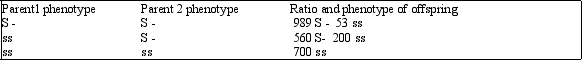 <strong>The results of a study of a population is presented in the following table. The - indicates that the other allele is unknown Which of the conclusions listed below is correct?</strong> A) All of the S - offspring from the S - X S - matings are homozygotic B) If the S- offspring of the S - X S - matings were mated to the S - offspring from the S - X ss matings there would be no ss offspring all would be S - C) The ratios of the offspring in the S- X S - matings conform to the expected ratio for a monhybrid cross D) The ratios of the offspring in the S - X S - matings are due to some S - parents being homozygotic and some being heterozygotic
