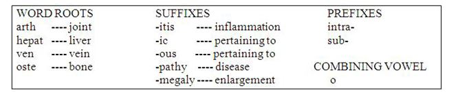 MATCHING Using the word parts in the above box, determine the correct medical terms for the definition and write the appropriate answer on the line provided. a. inflammation of a joint b. disease of the bone c. inflammation of the liver d. pertaining to below the liver e. enlargement of the liver f. pertaining to the liver g. disease of a joint h. pertaining to within the vein 15. hepat/o/megaly 16. intra/ven/ous 17. sub/hepat/ic 18. arthr/itis 19. arthr/o/pathy 20. oste/o/pathy 21. hepat/ic 22. hepat/itis
