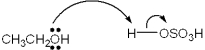 <strong>Which of the following terms describes the role of ethanol in the acid-base reaction shown? </strong> A)Brønsted-Lowry acid B)Brønsted-Lowry base C)Lewis acid D)Lewis base
