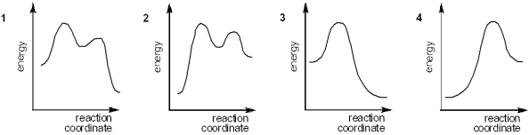 <strong>Which of the following energy diagrams represents the course of an exothermic E2 reaction? </strong> A)1 B)2 C)3 D)4