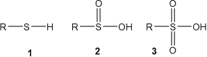 <strong>What is the correct assignment of the names of the following functional groups? </strong> A)1 = thiol; 2 = sulfone; 3 = sulfoxide B)1 = thiol; 2 = sulfoxide; 3 = sulfone C)1 = thiol; 2 = sulfinic acid; 3 = sulfonic acid D)1 = sulfonic acid; 2 = sulfone; 3 = sulfinic acid