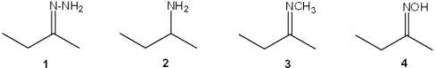 <strong>What is the correct assignment of the names of the following functional groups? </strong> A)1 = imine; 2 = amine; 3 = hydrazone; 4 = oxime B)1 = hydrazone; 2 = amine; 3 = imine; 4 = oxime C)1 = oxime; 2 = imine; 3 = amine; 4 = hydrazone D)1 = imine; 2 = hydrazone; 3 = oxime; 4 = amine