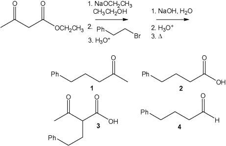 <strong>What is the major organic product obtained from the following sequence of reactions? </strong> A)1 B)2 C)3 D)4