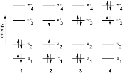 <strong>Which of the following energy diagrams represents the electronic state of butadiene after absorption of radiation? </strong> A)1 B)2 C)3 D)4