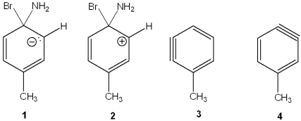 <strong>Which of the following is the reactive intermediate in the nucleophilic substitution of 4-bromo-1-toluene with sodium amide? </strong> A)1 B)2 C)3 D)4