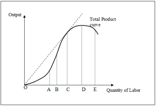 <strong>Figure 7-1 shows the total product curve for different levels of a variable input,labor. Figure 7-1 Refer to Figure 7-1.A firm would choose to operate between points C and D because:</strong> A)marginal product has already reached a maximum. B)average product is rising over that range. C)marginal product and average product are positive,but falling. D)marginal product and average product are rising.