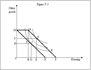 <strong>Figure 5-3 shows a family's preferences for housing and other goods.Refer to Figure 5-3.Suppose the government offered public housing that provided exactly B0 units of housing services to a low-income family.The public housing unit: </strong> A)is provided by the government at a cost of $TB. B)allows the family to reach a higher indifference curve but causes the family to consume more housing than an equal-sized cash transfer. C)increases the level of housing consumption by the same amount as an equal-sized cash transfer. D)causes the family to consume less housing than before the fixed-quantity subsidy.