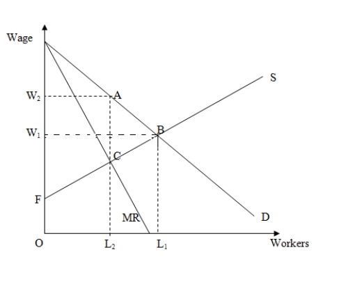 <strong>Use the following figure to answer the question : Figure 17-2 : shows the demand [D],marginal revenue [MR],and supply [S] curves in the market for labor.   Refer to Figure 17-2.Under competitive conditions _____ workers are hired at a wage of _____.</strong> A)L<sub>1</sub> and W<sub>1</sub> B)L<sub>1</sub> and W<sub>2</sub> C)L<sub>2</sub> and W<sub>1</sub> D)L<sub>2</sub> and W<sub>2</sub> <div style=padding-top: 35px> 