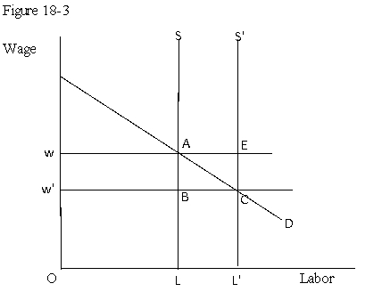 <strong>Use the following figure to answer the question : Figure 18-3 : shows the impact of immigration on the labor market of a country.Immigration in shifts the labor supply curve from S to S'. Refer to Figure 18-3.The increase in the income of the capital owners in the country,due to immigration,is represented by the area:</strong> A)ABC. B)wACw'. C)ABCE. D)wABw'.