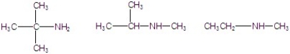 Classify the following amines as primary, secondary, or tertiary.