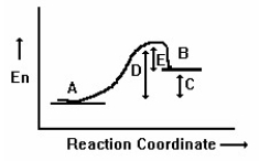 <strong>What is the activation energy for the reaction B → A in the following diagram? </strong> A)A B)B C)C D)D E)E