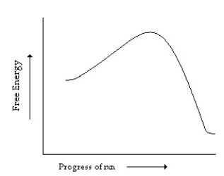 <strong>Which of the following correctly describes the reaction whose reaction coordinate diagram is shown? </strong> A)endergonic with no transition state B)exergonic with no transition state C)endergonic with a transition state D)exergonic with a transition state E)endergonic with an intermediate
