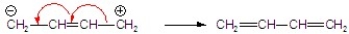 <strong>Identify the correctly drawn arrows.</strong> A) B) C) D) E)
